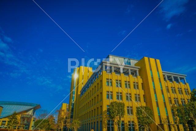 写真のタイトルが入ります