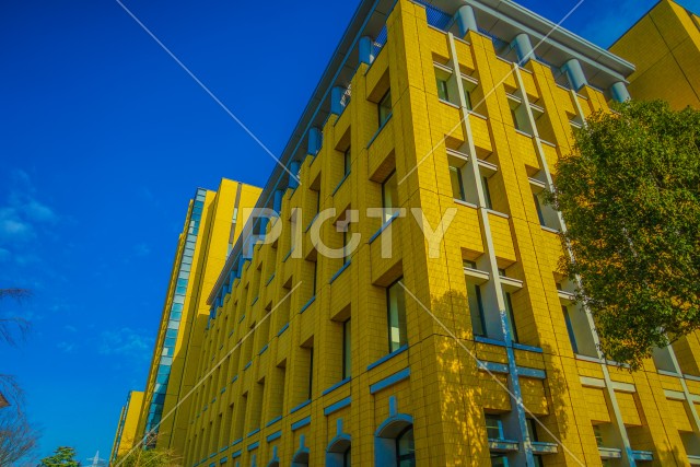 写真のタイトルが入ります