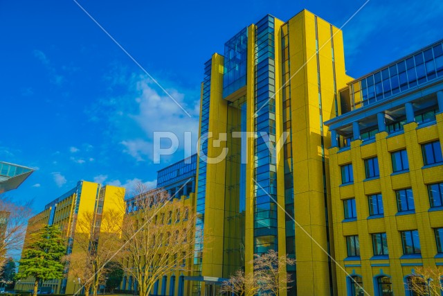 写真のタイトルが入ります