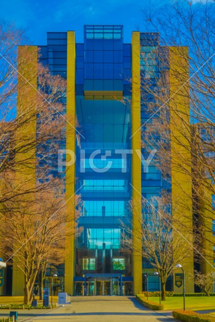 写真のタイトルが入ります