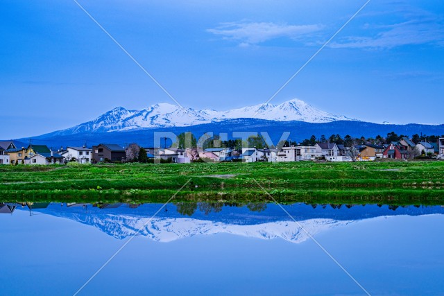 写真のタイトルが入ります