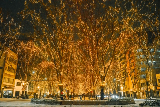 写真のタイトルが入ります