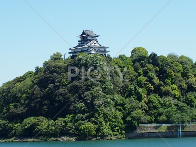 写真のタイトルが入ります