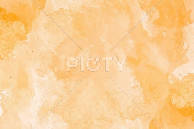 写真のタイトルが入ります
