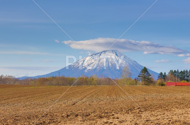 写真のタイトルが入ります
