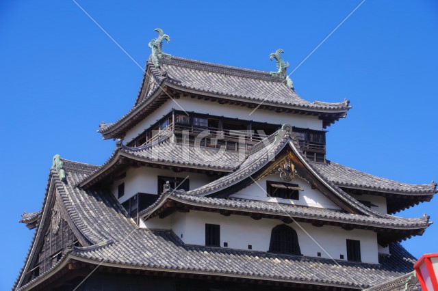 写真のタイトルが入ります