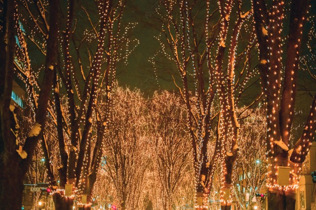 写真のタイトルが入ります