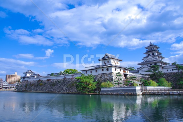 写真のタイトルが入ります