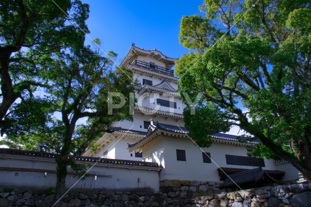 写真のタイトルが入ります