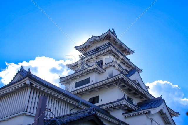 写真のタイトルが入ります