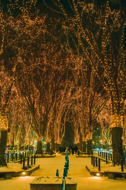 写真のタイトルが入ります