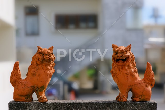 写真のタイトルが入ります