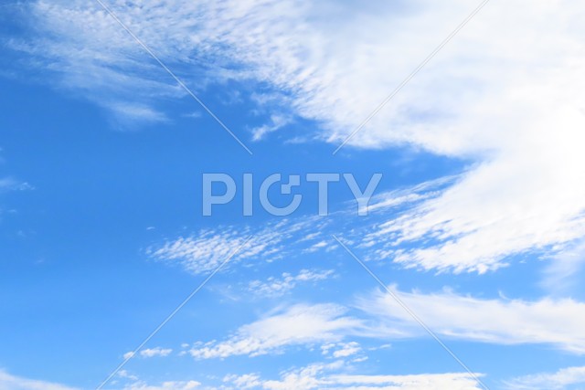 秋の青空
