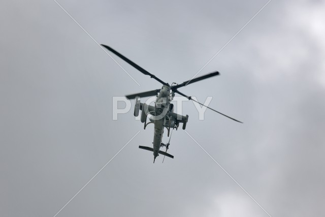 写真のタイトルが入ります