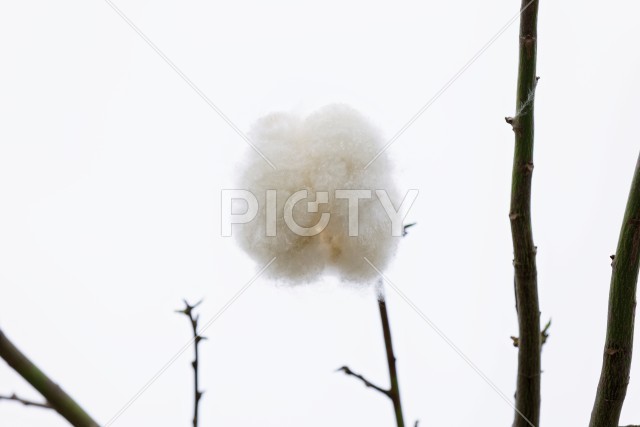 写真のタイトルが入ります