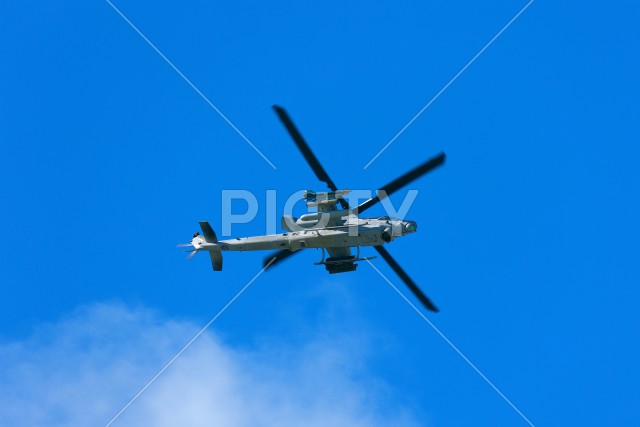 写真のタイトルが入ります