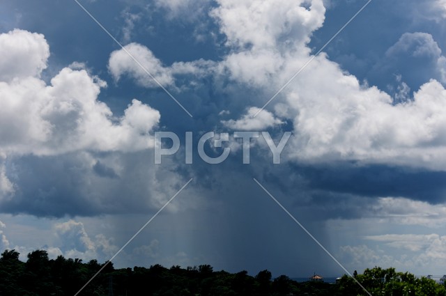 写真のタイトルが入ります