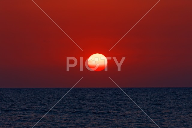 写真のタイトルが入ります