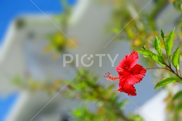 写真のタイトルが入ります