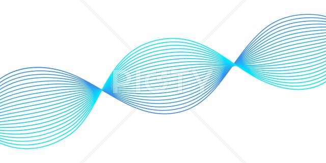 写真のタイトルが入ります