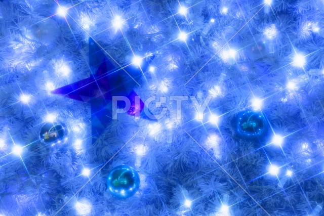 写真のタイトルが入ります