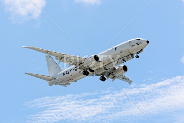 写真のタイトルが入ります