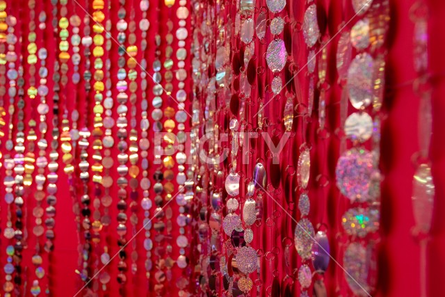 写真のタイトルが入ります