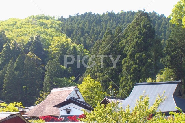 写真のタイトルが入ります