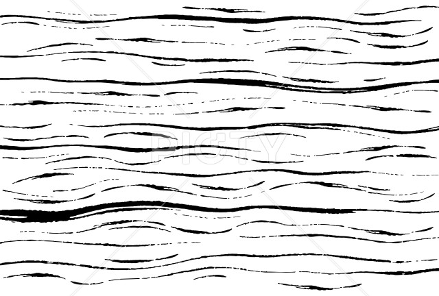 写真のタイトルが入ります