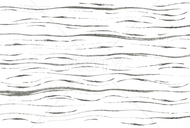 写真のタイトルが入ります