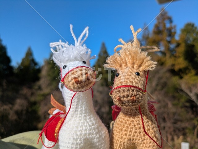 写真のタイトルが入ります