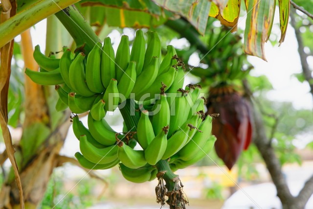 写真のタイトルが入ります