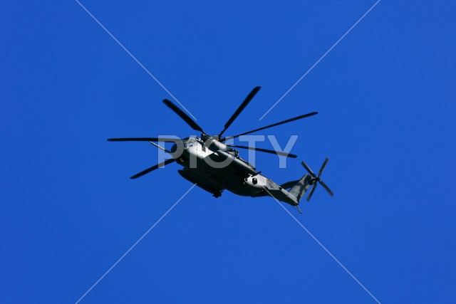 写真のタイトルが入ります