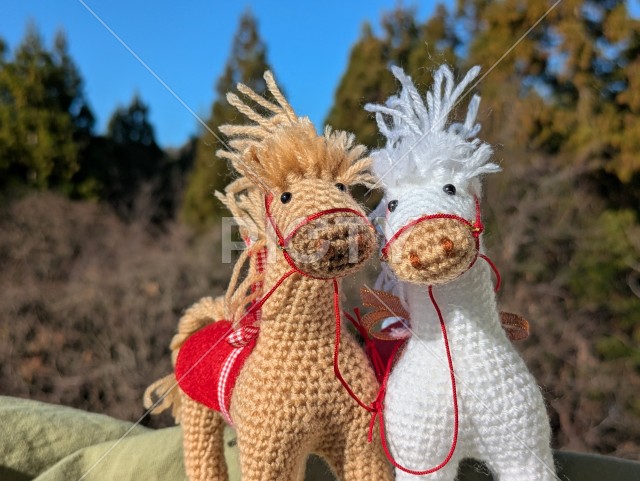 写真のタイトルが入ります