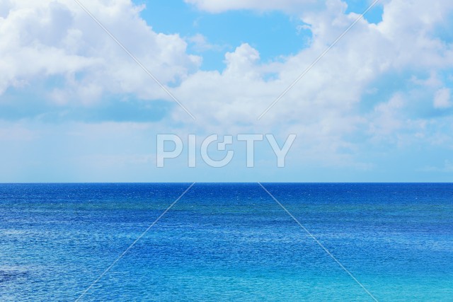 写真のタイトルが入ります