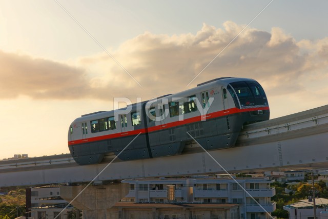 写真のタイトルが入ります