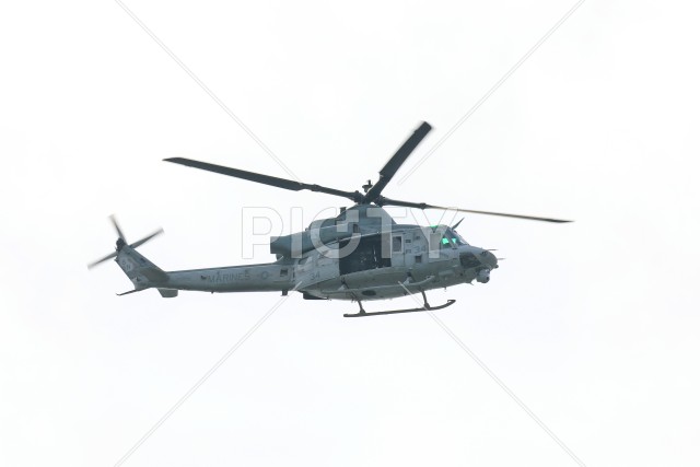 写真のタイトルが入ります