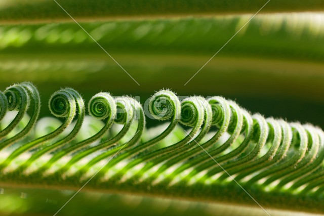 写真のタイトルが入ります