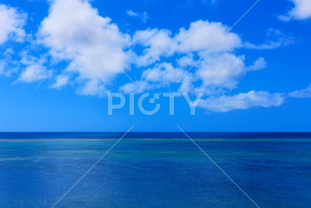 写真のタイトルが入ります