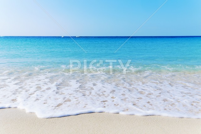 写真のタイトルが入ります