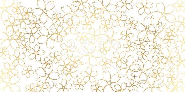 写真のタイトルが入ります