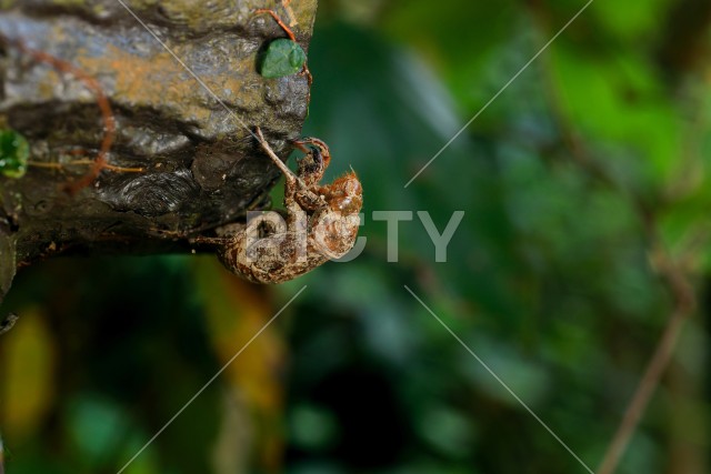 写真のタイトルが入ります