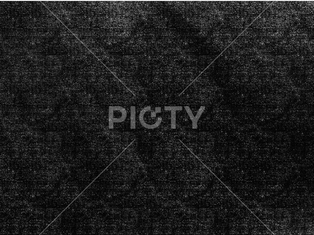 写真のタイトルが入ります