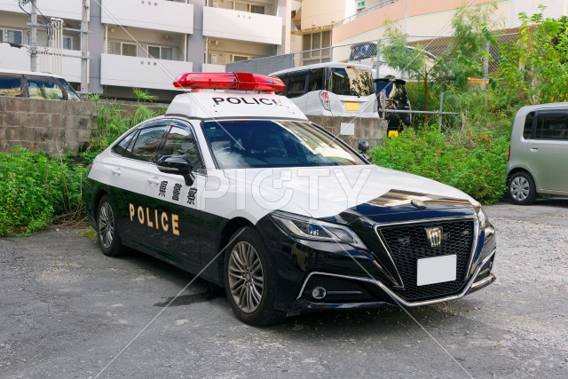 写真のタイトルが入ります