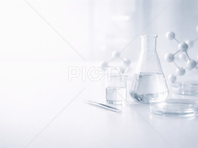 写真のタイトルが入ります