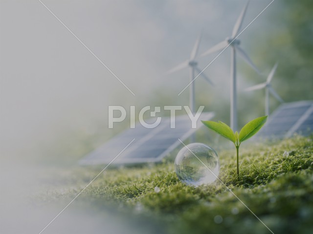 写真のタイトルが入ります