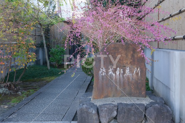 写真のタイトルが入ります