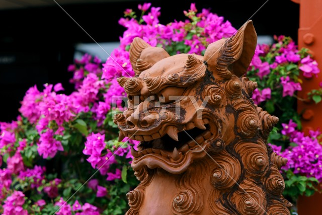 写真のタイトルが入ります