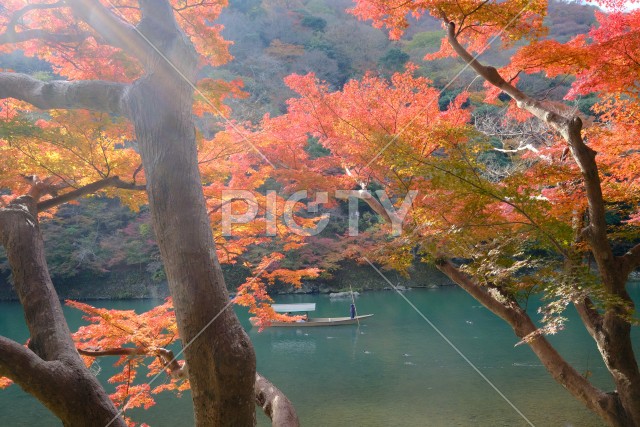 写真のタイトルが入ります