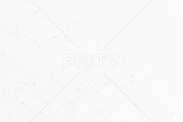 写真のタイトルが入ります